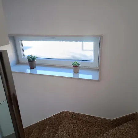 Dom wakacyjny Roi Roots *