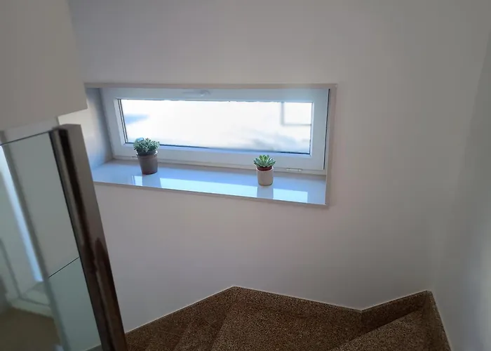 Дом отдыха Roi Roots *